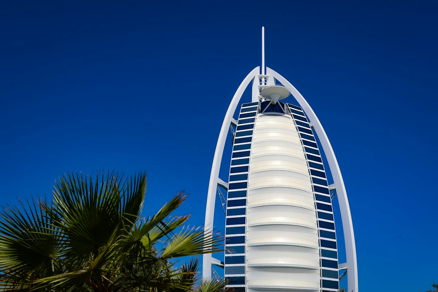 Modern sail-shaped skyscraper rising behind green palm tree fronds.
